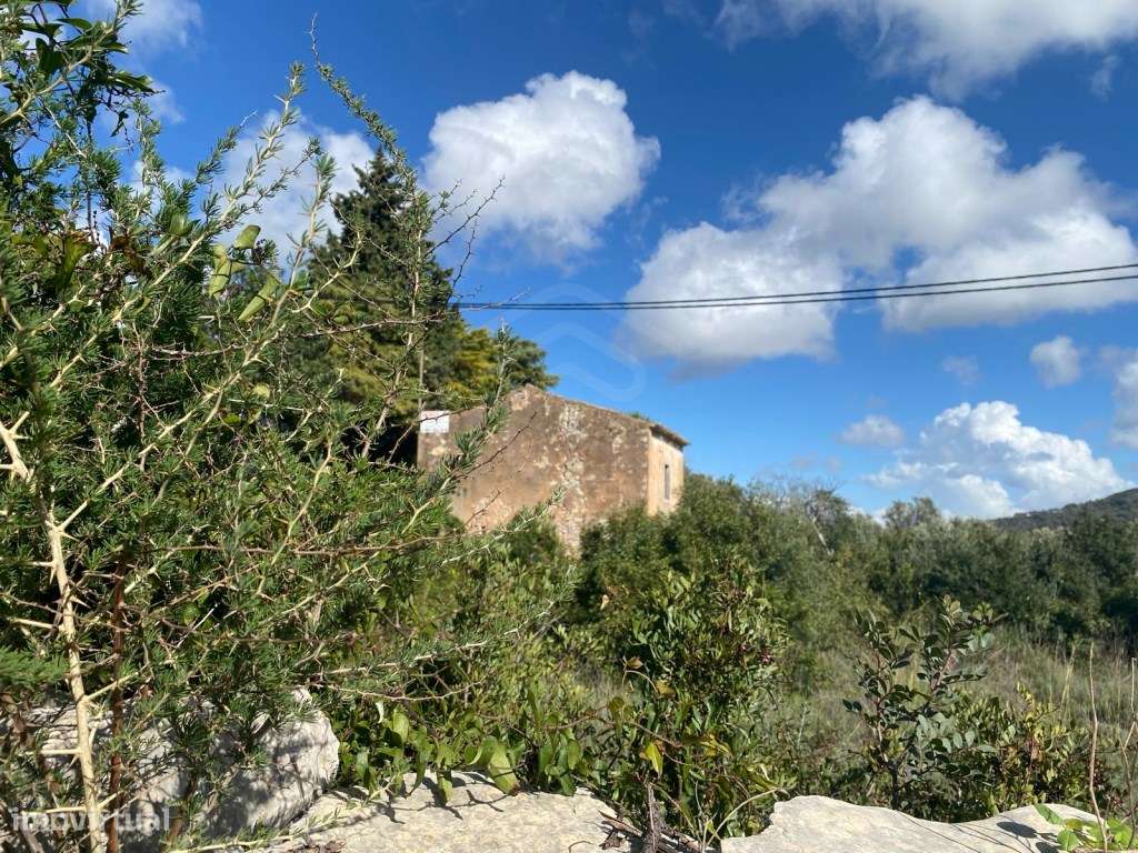 Terreno 6.912m2 com Ruina, Loulé, Algarve - Grande imagem: 5/10