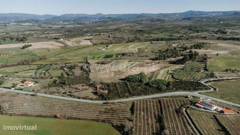 Terreno Rústico / Belmonte, Monte do Bispo - Grande imagem: 2/12