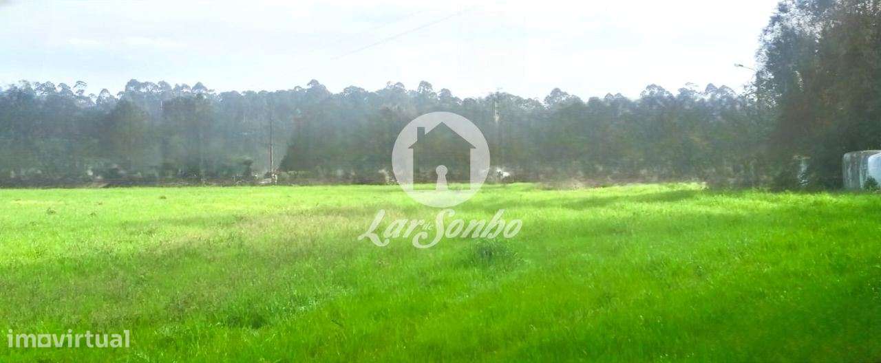 Excelente terreno em Esposende para Construção de Moradias-3