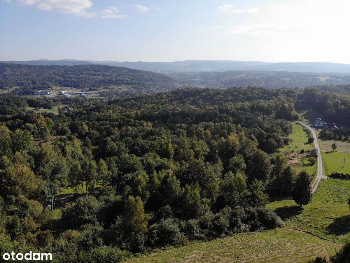 Piękne widoki, cisza i spokój, potencjał budowlany - Pełny obrazek: 5/8