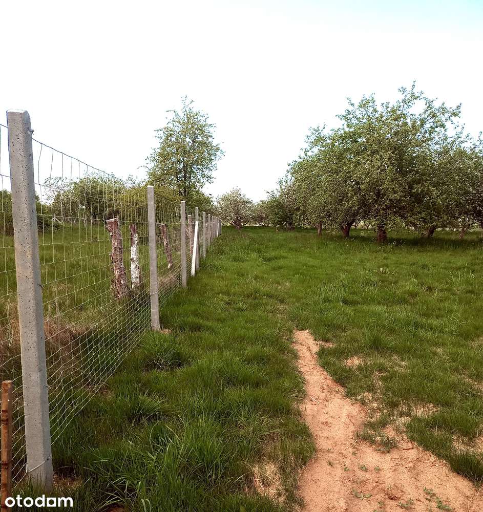 Sprzedam działkę z warunkami zabudowy blisko morza i Międzywodzia - Pełny obrazek: 4/9