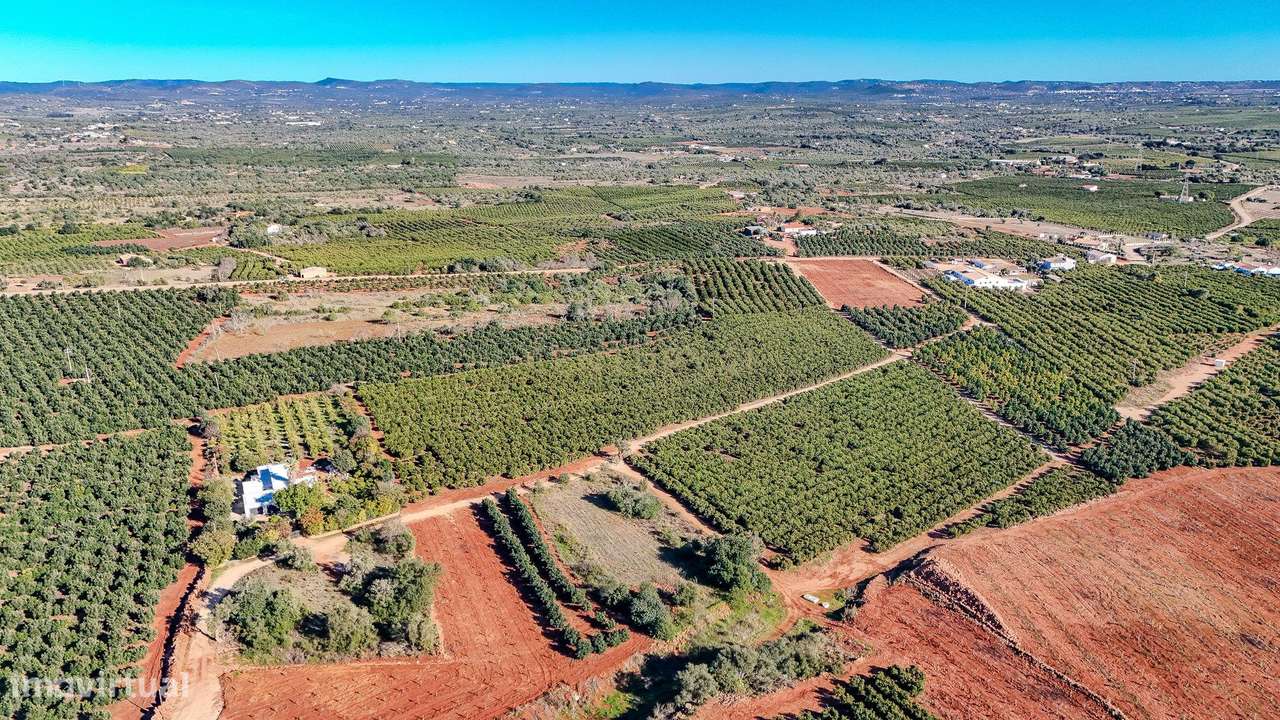 Terreno rústico em Silves - Grande imagem: 5/6