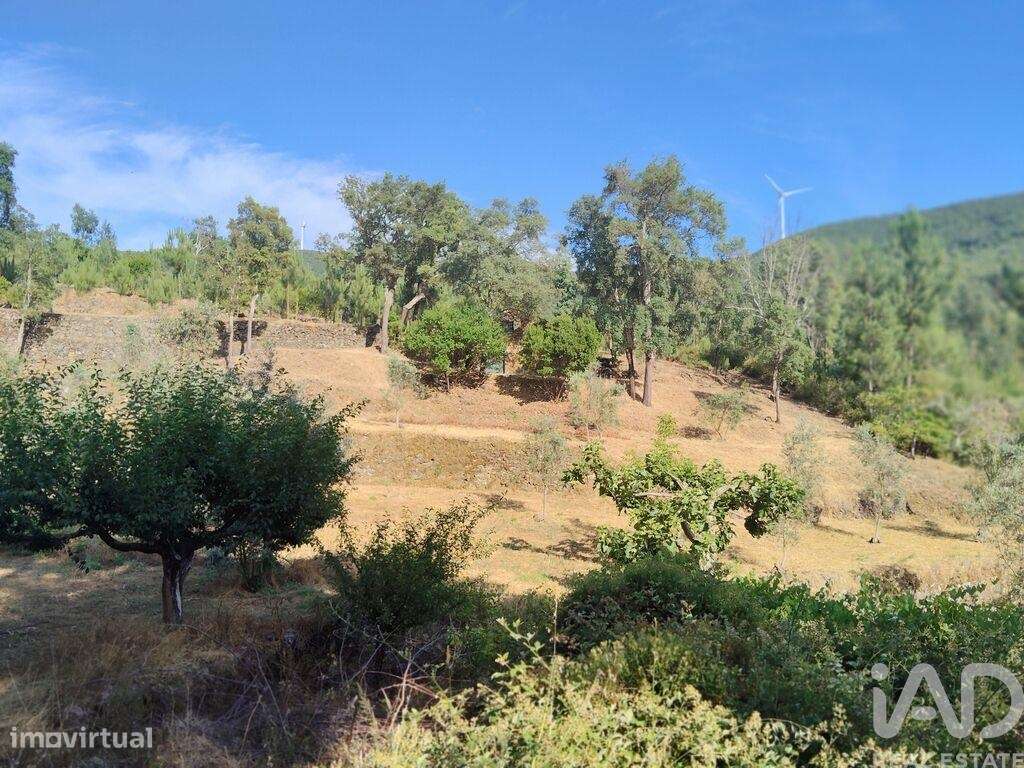 Terreno em Pedrógão Pequeno de 20,00 m2 - Grande imagem: 4/23