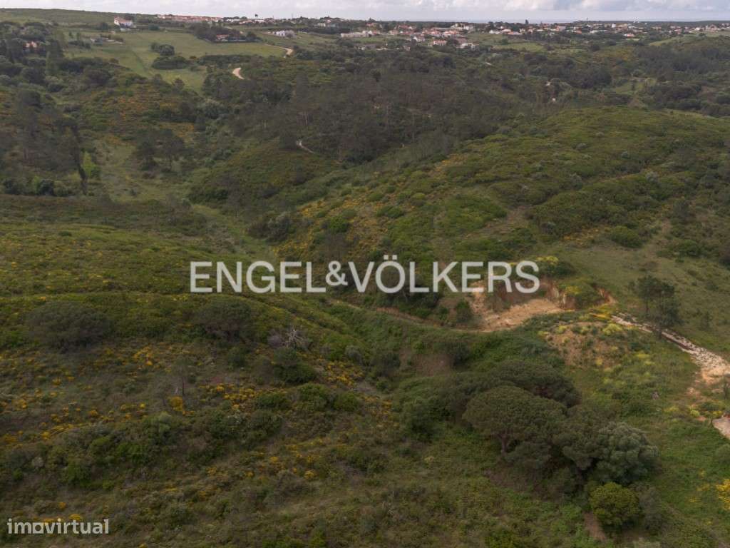 Terreno com Vista Mar e Projeto Aprovado no Meco - Sesimbra - Grande imagem: 5/37