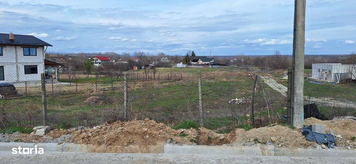 Teren in Dragomiresti - Imagine principală: 5/8