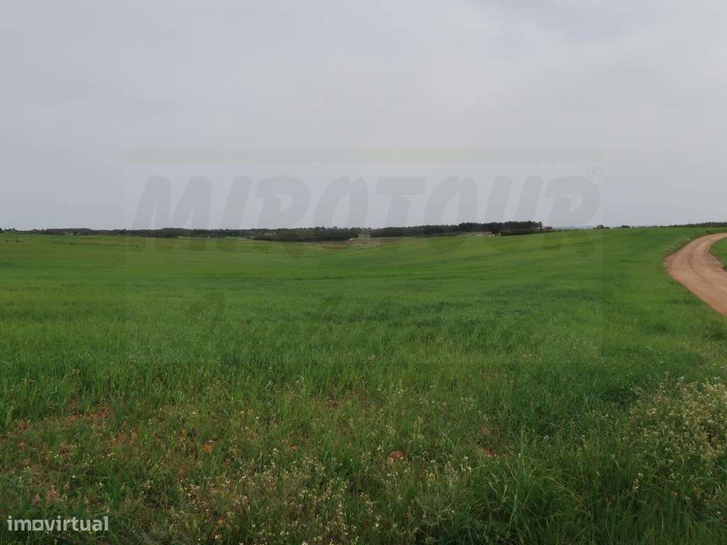 Quinta em excelente localização-21