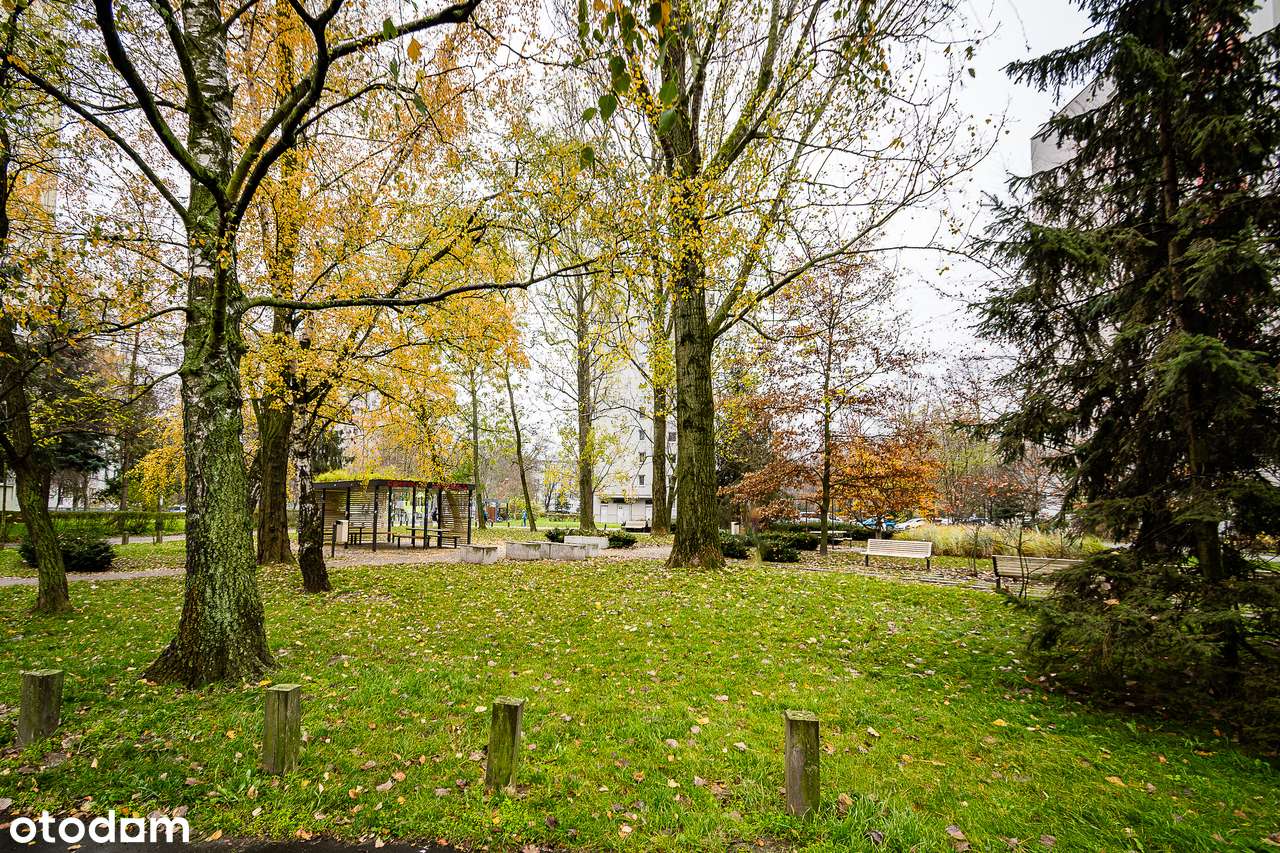 3 pokojowe mieszkanie | duży potencjał | świetna lokalizacja-13