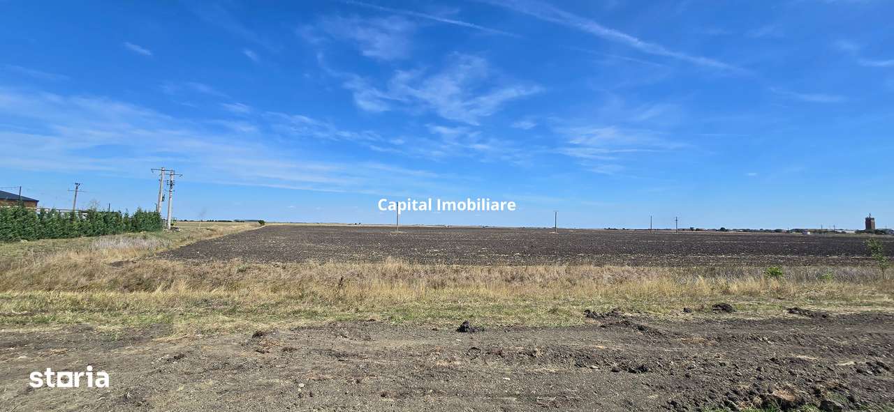 Teren extravilan cu potențial de dezvoltare, la sosea DN6-2