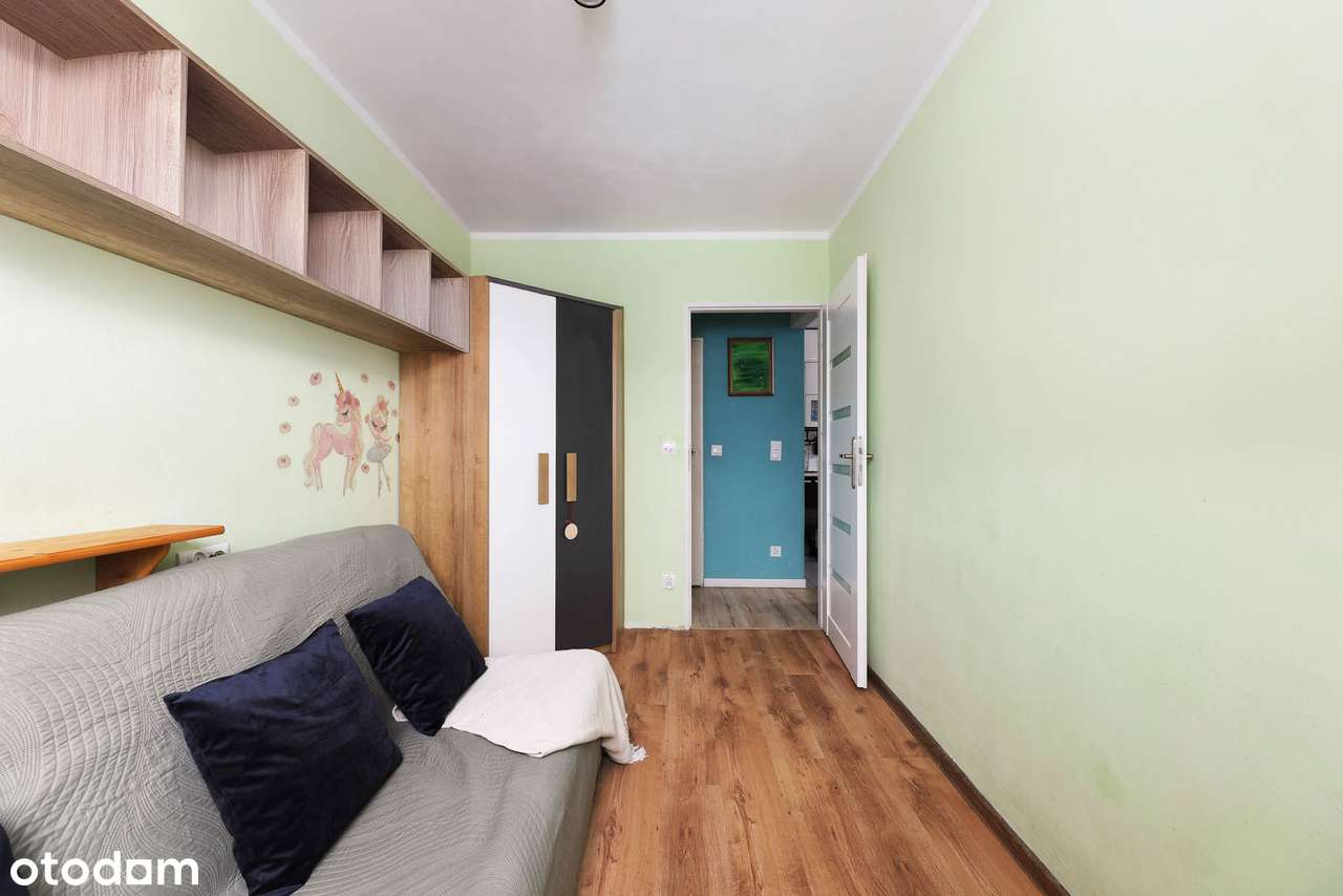 2M| dla pary/singla lub inwestycyjnie_piwnica| TYLKO U NAS!-1