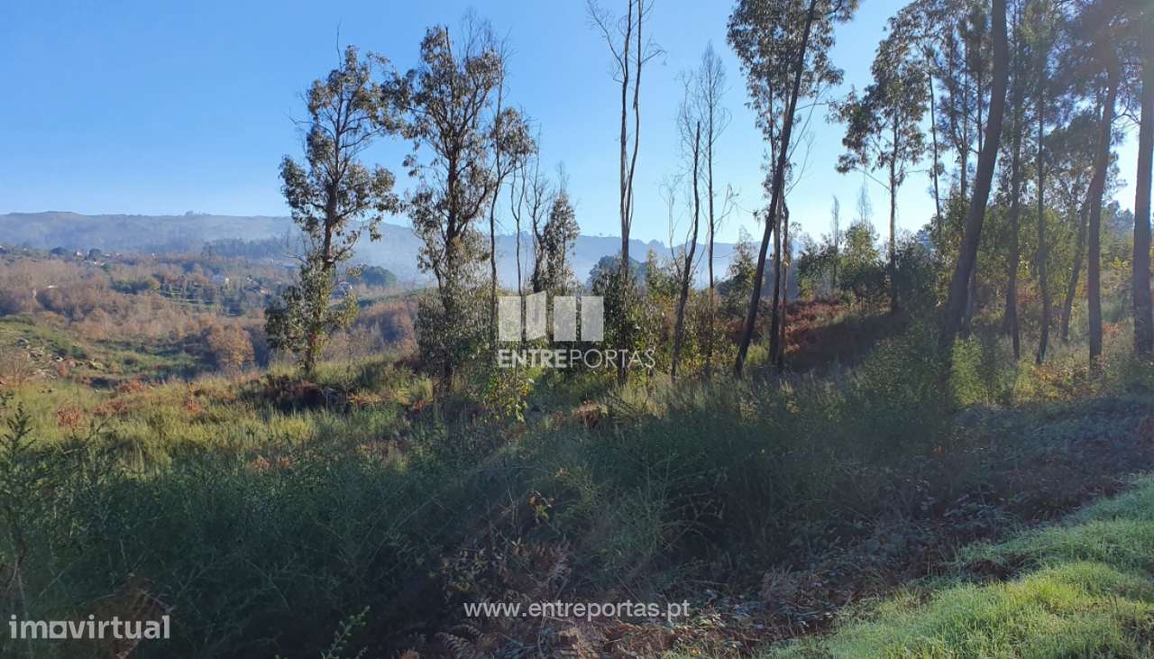 Venda Terreno, Várzea de Ovelha e Aliviada, Marco de Canaveses - Grande imagem: 2/30