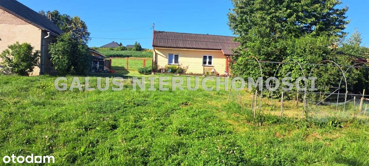 Działka rolna 2,5200 Ha i gospodarstwo-4