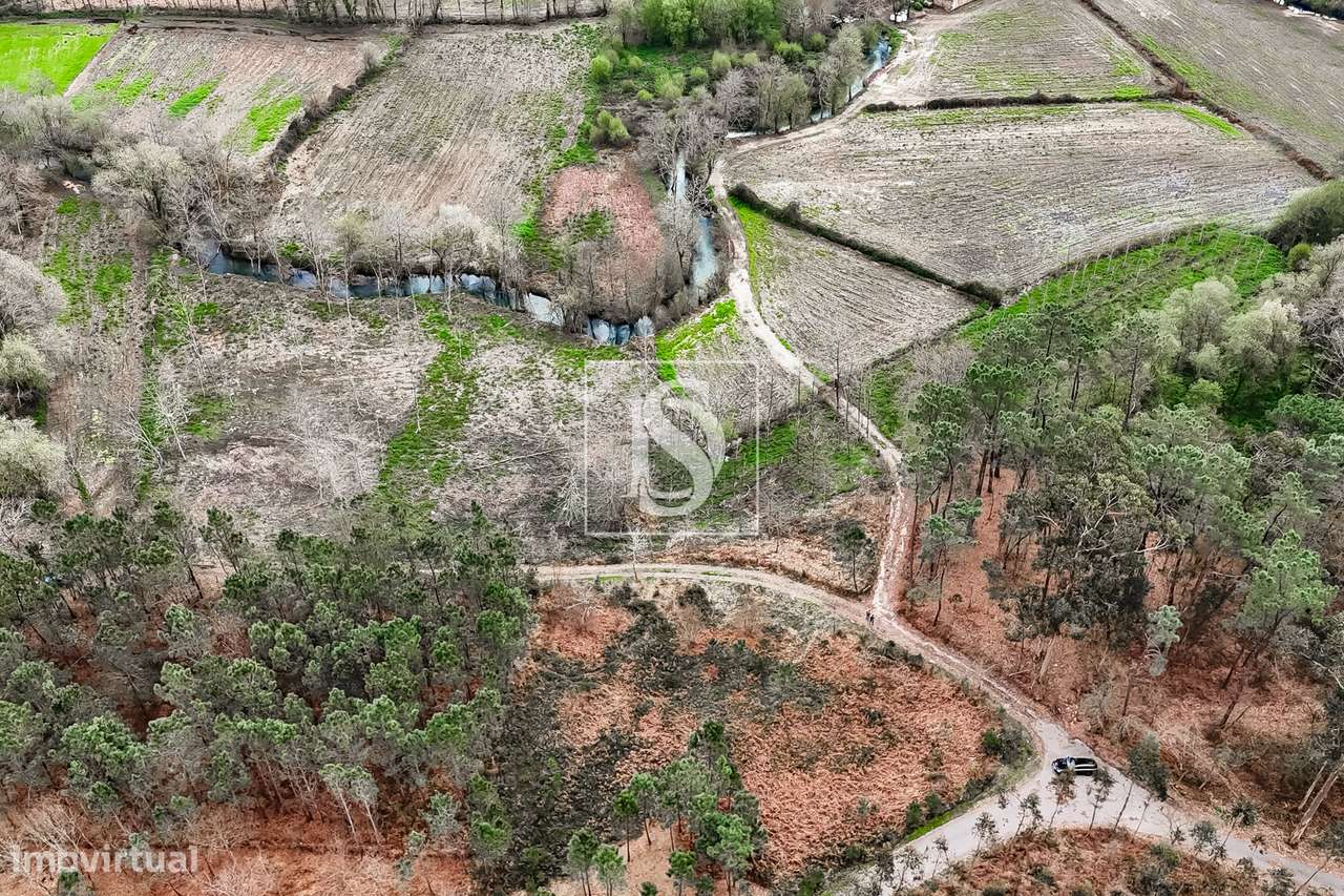 Terreno Rústico  Venda em Associação de freguesias do Vale do Neiva,Po-7