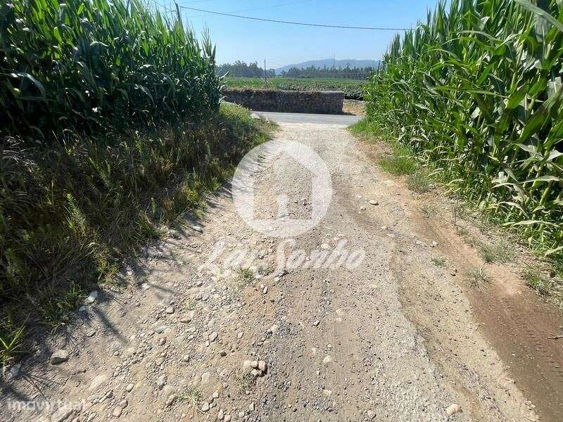 Terreno para moradia com 9.748m2 e 90m de frente em Parada, Vila do... - Grande imagem: 3/5