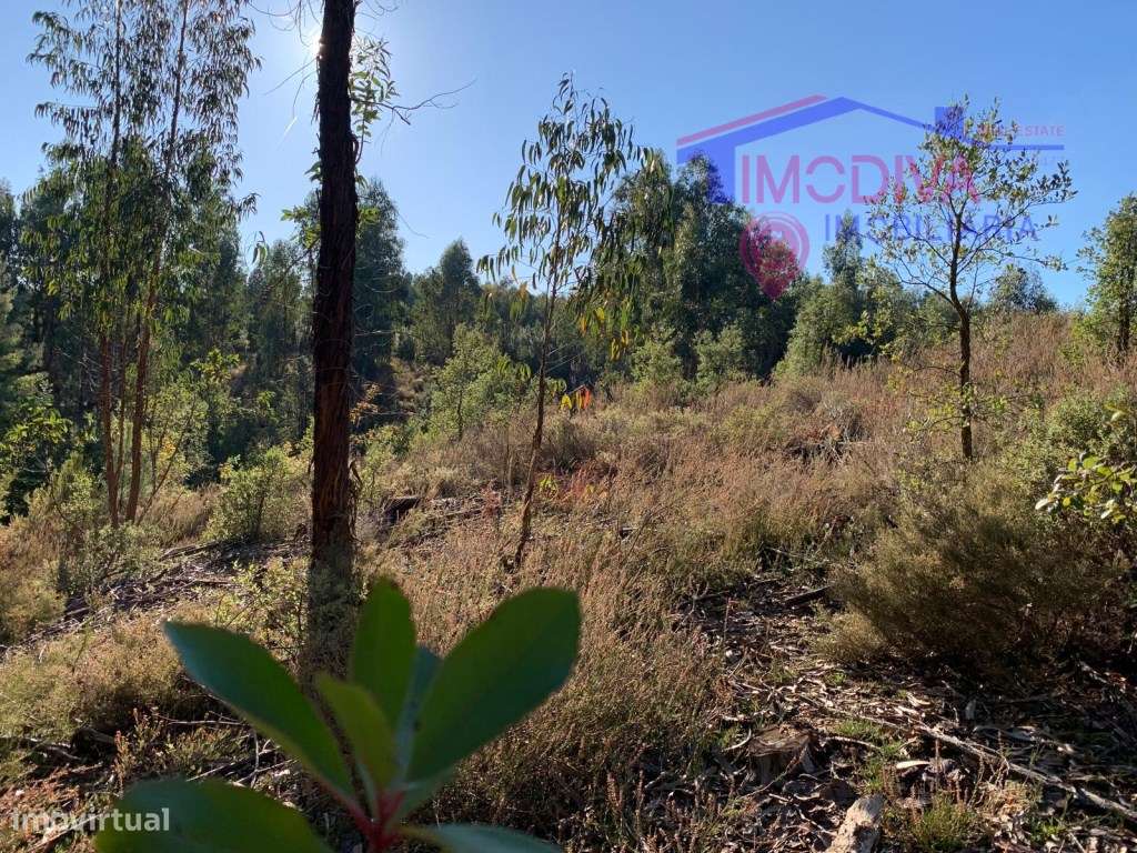 Terreno rústico em Vila Facaia-4