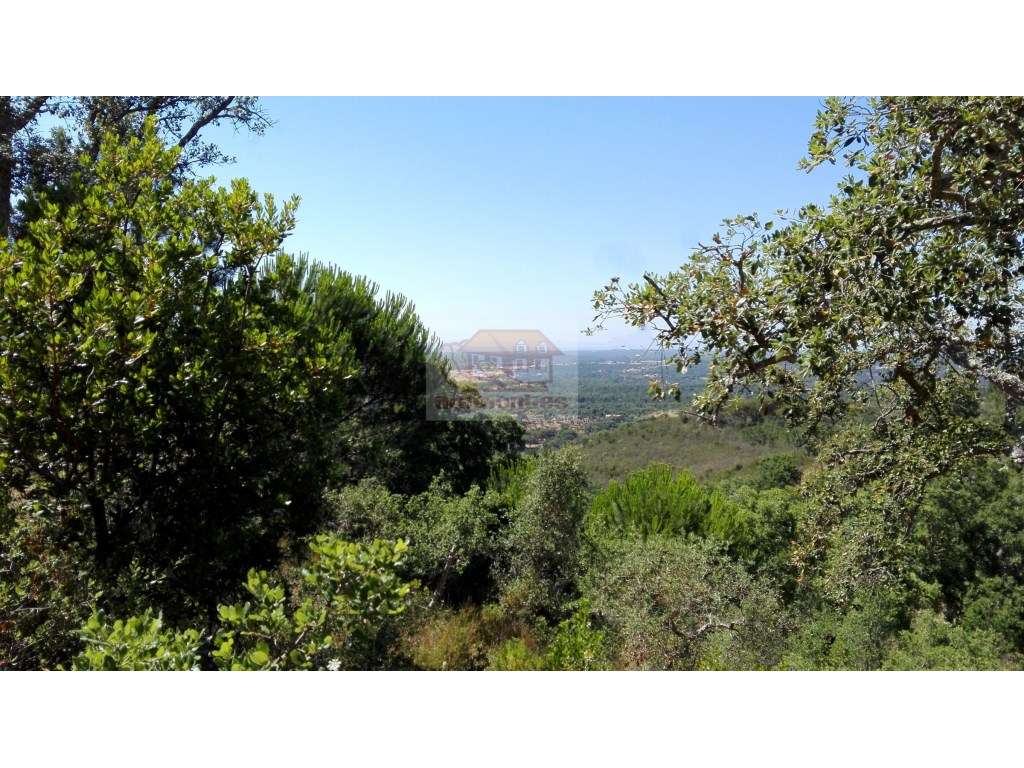 Terreno com 12,6ha com vista de mar - Melides - Grande imagem: 3/9