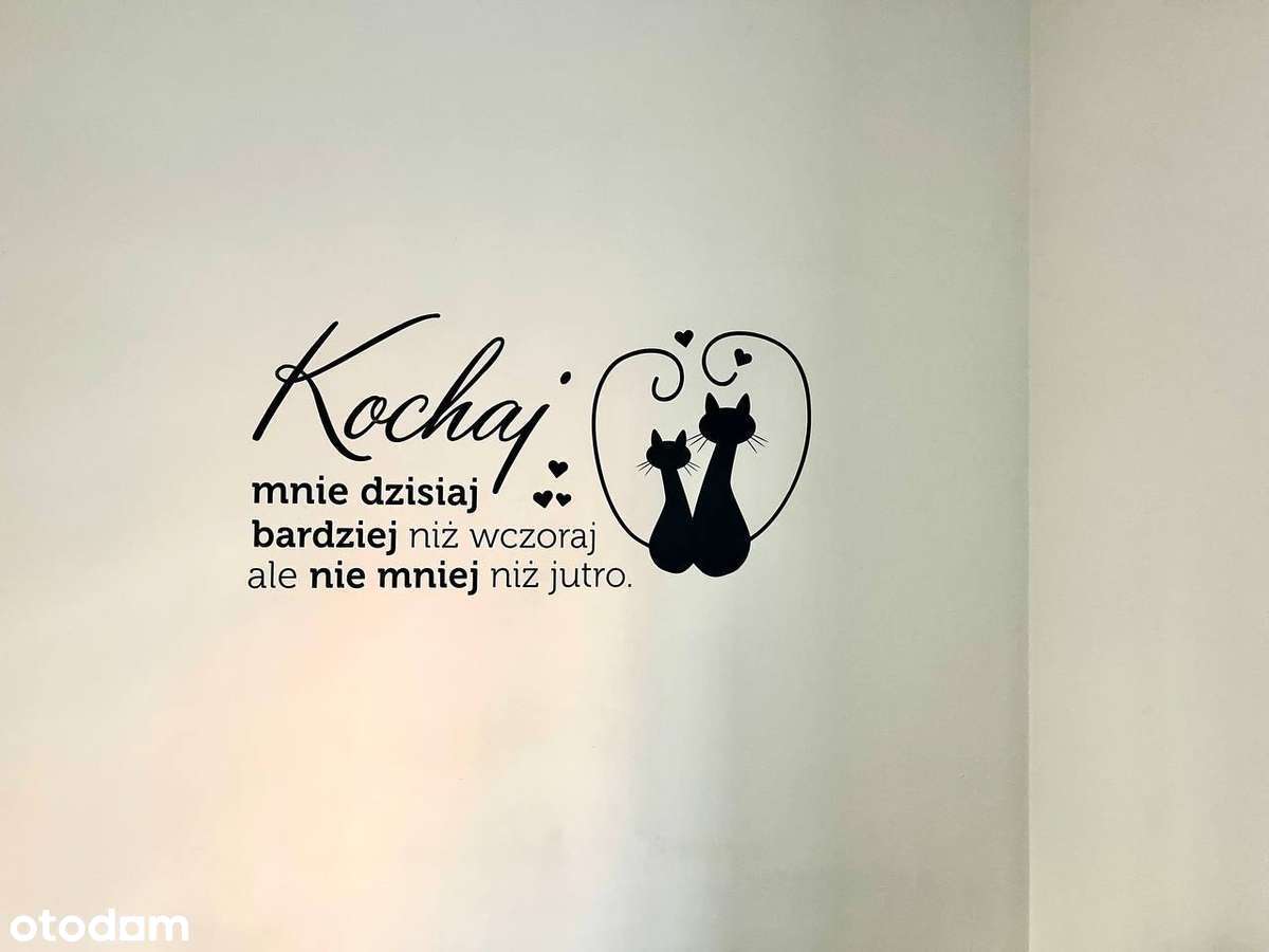 3 pokoi na Woli Odolany Jana Kazimierza 21 - Pełny obrazek: 1/18