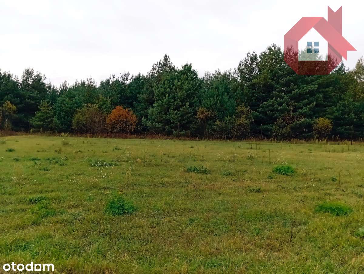 Działka 1726 m2 z prądem , Henryszew k/ Żyrardów-8