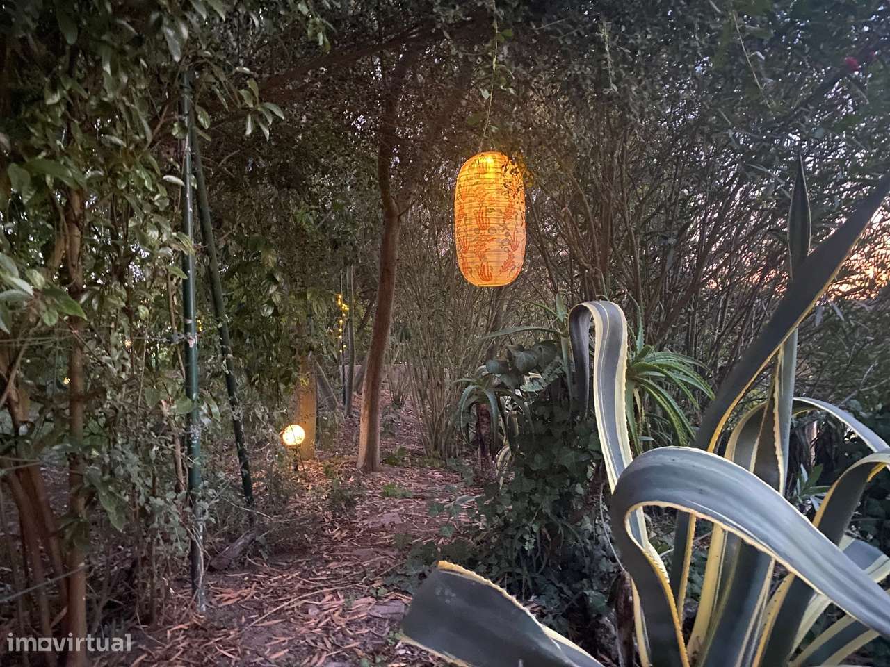 T5 | 2631m² | Cotovia, Sesimbra-33