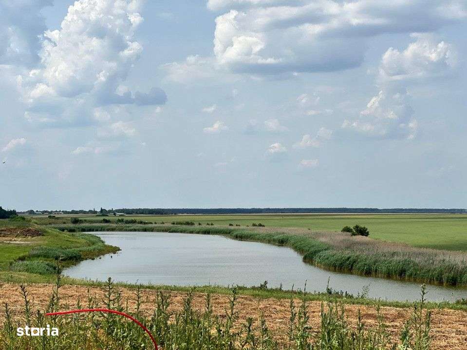 Teren Frumusani | RATE 24 LUNI | Utilitati | Investitie | D.N. 4 - Imagine principală: 4/7