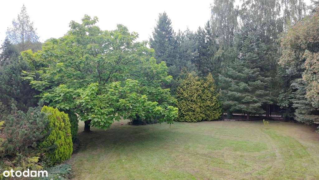 Dom z Ogrodem Marzeń blisko Warszawy-9