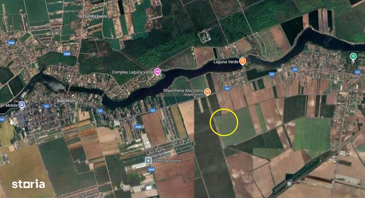 Teren Caciulati / 10.000 mp / D: 28 m / comision 0%-4