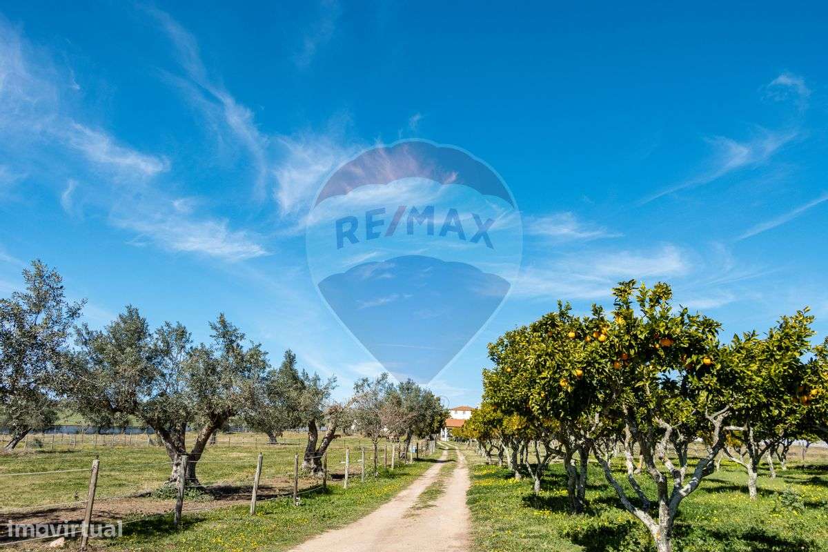 Quinta T7 para venda - Grande imagem: 2/37