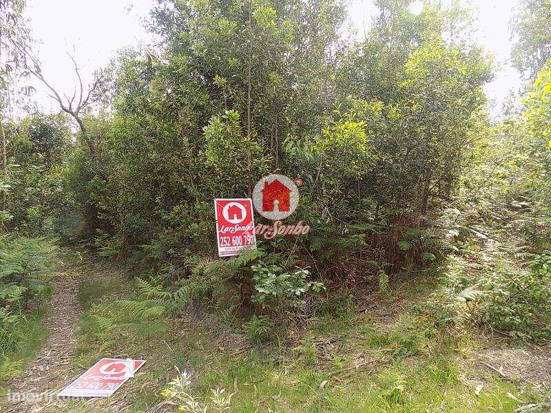 Terreno rústico com 6300m2 em Esmeriz, VNF - Grande imagem: 2/4