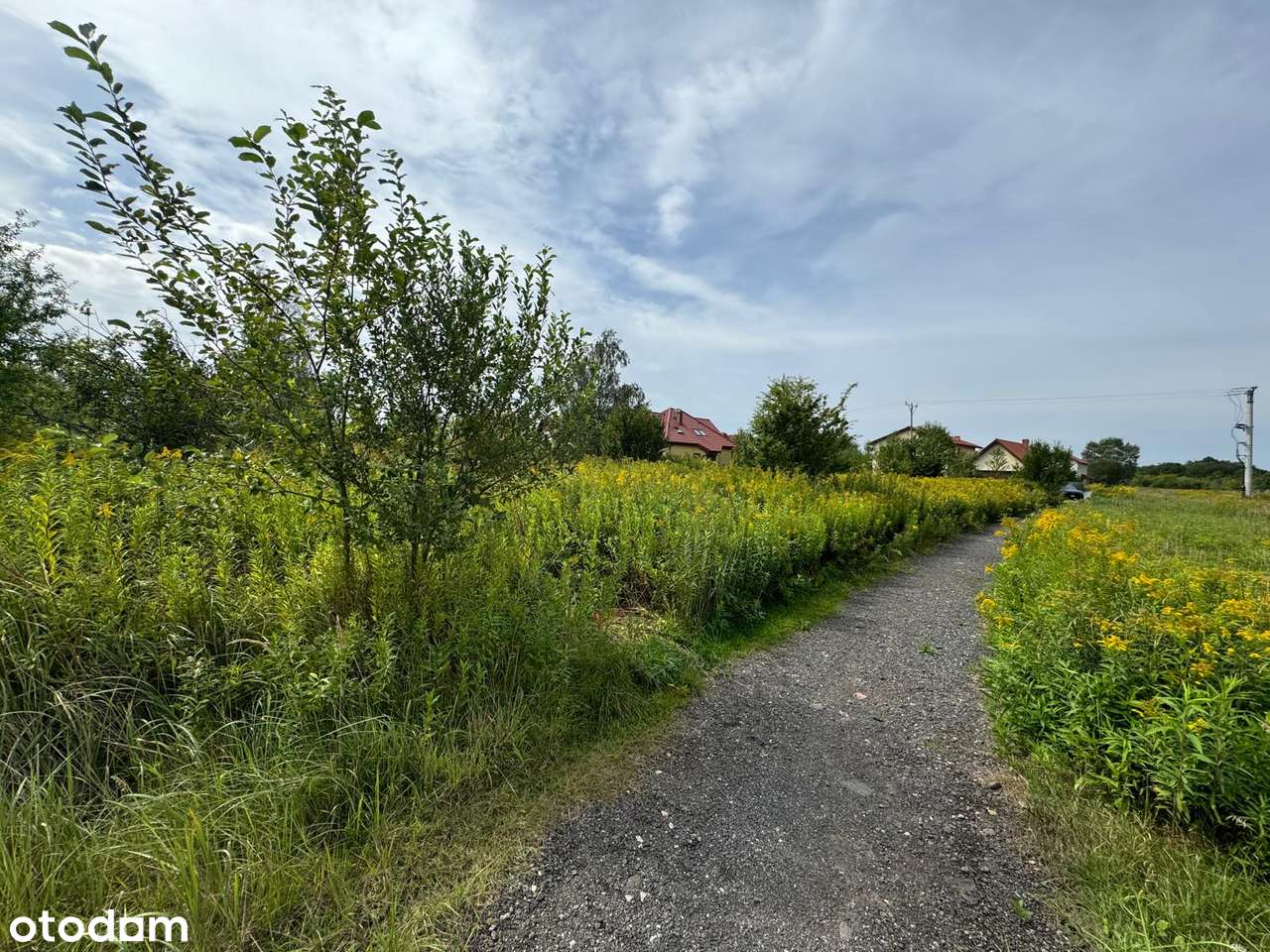 Działka budowlana - ul. Chodkiewicza - Wrocław - Jerzmanowo - Pełny obrazek: 3/8