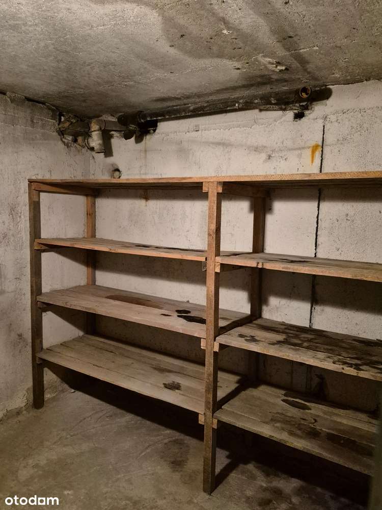 Zamieszkaj w zielonej części Zielonej Góry! M3, 50,2 m2-17