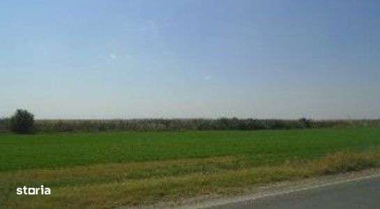 Teren cota parte 1/6, Branistea, ID: R2757177 - Imagine principală: 5/5