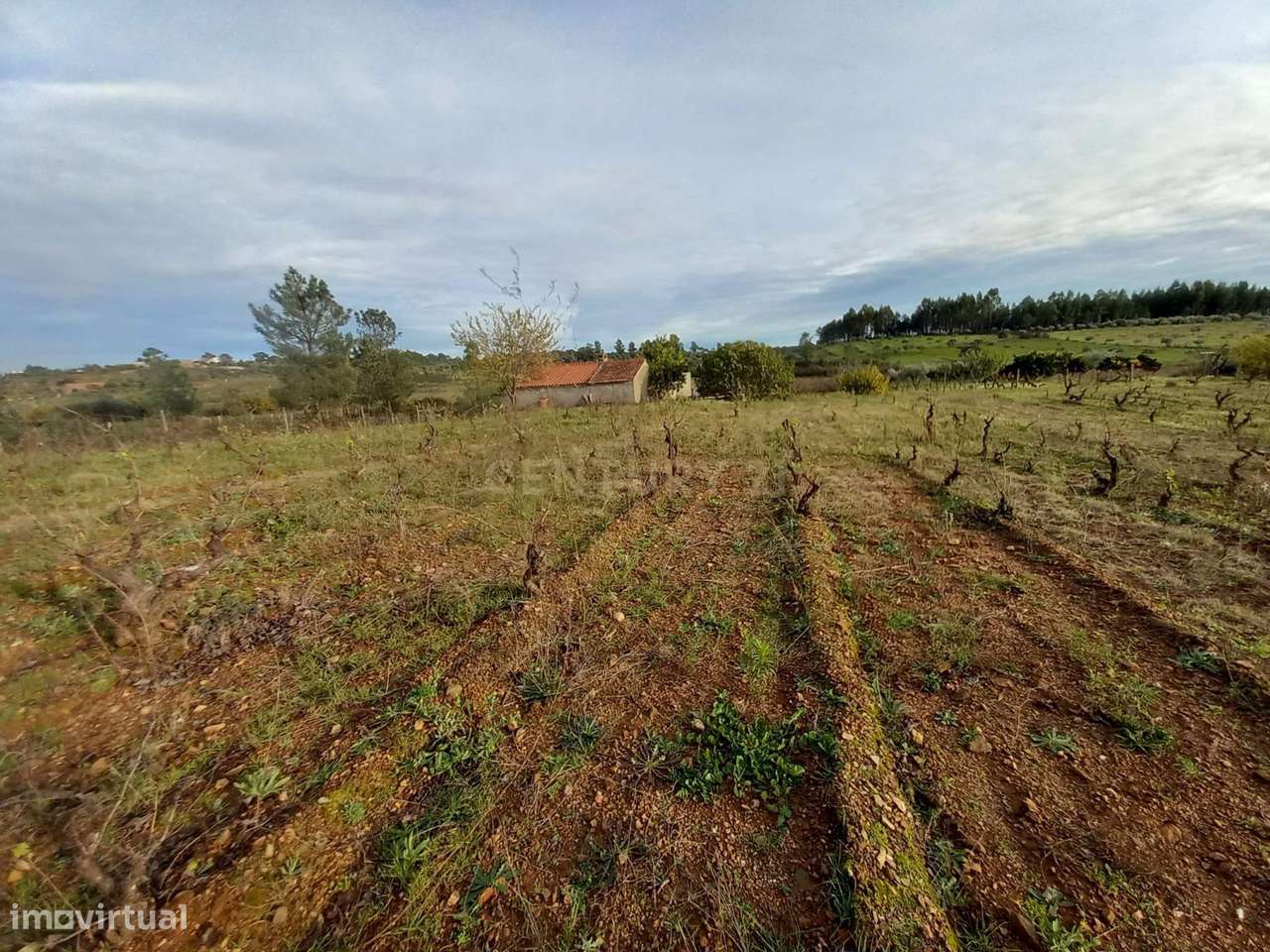 Quinta na localidade do Ninho do Açor - Grande imagem: 4/23