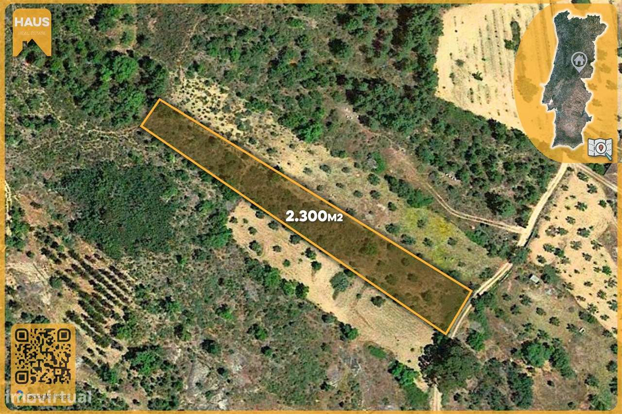 Terreno Rústico 2.300m² c/ Muros de Pedra – Juncal do Campo - Grande imagem: 2/25