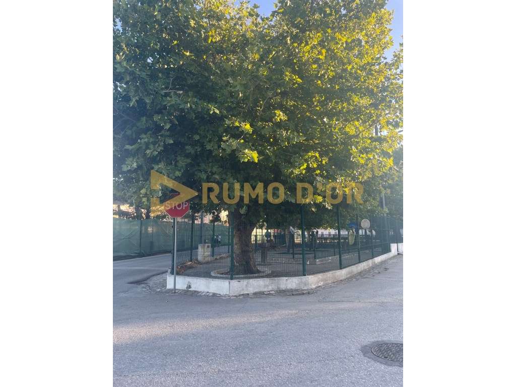 LOTE 22 - 691,65 m² | Excelente oportunidade: 55 000 € - Grande imagem: 5/5