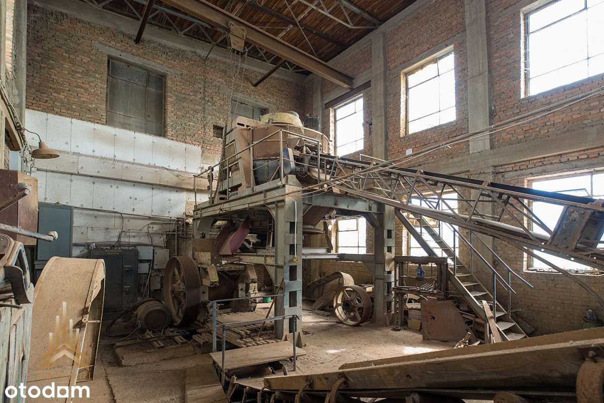 Teren inwestycyjny uzbrojony+budynki - pow. płocki-7