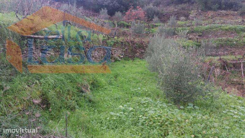 Quintinha em Santo Adrião - Grande imagem: 4/20