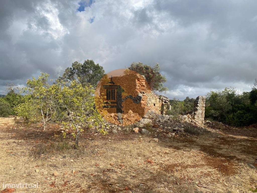 Terreno Misto - Grande imagem: 2/12