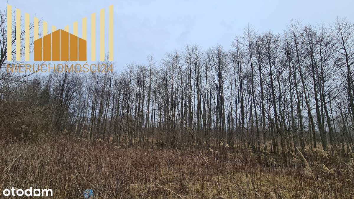 Teren Inwestycyjny Mińsk Maz. Fv Vat - Pełny obrazek: 5/9