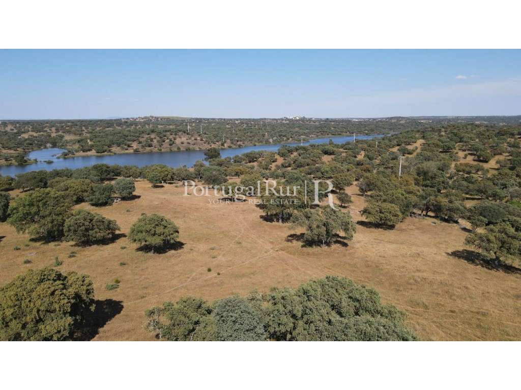 Herdade 80 hectares confinante com a Barragem-8