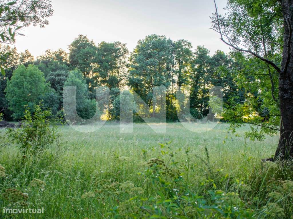 Terreno Rústico para venda nas Ínsuas, Fundão - Grande imagem: 5/7