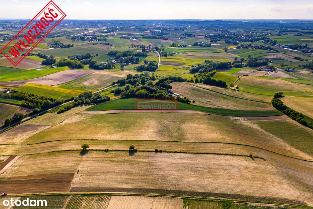 Działka rolna w Grębocinie, powiat proszowicki. - Pełny obrazek: 4/7