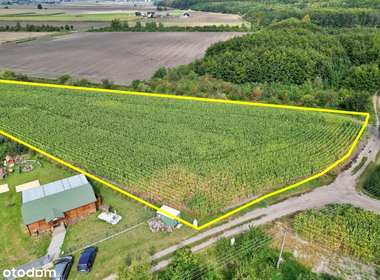 Duża działka budowlana przy lesie z WZ! Słońsko-2