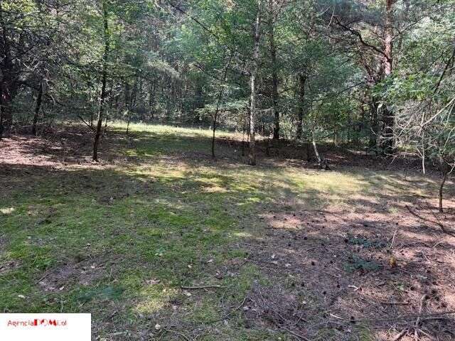 Siestrzeń, 10 000m,do podziału na 6 działek,z Mpzp-2