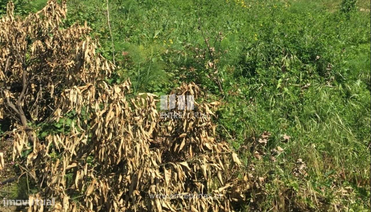 Venda de Lote, Barroselas, Viana do Castelo - Grande imagem: 5/27