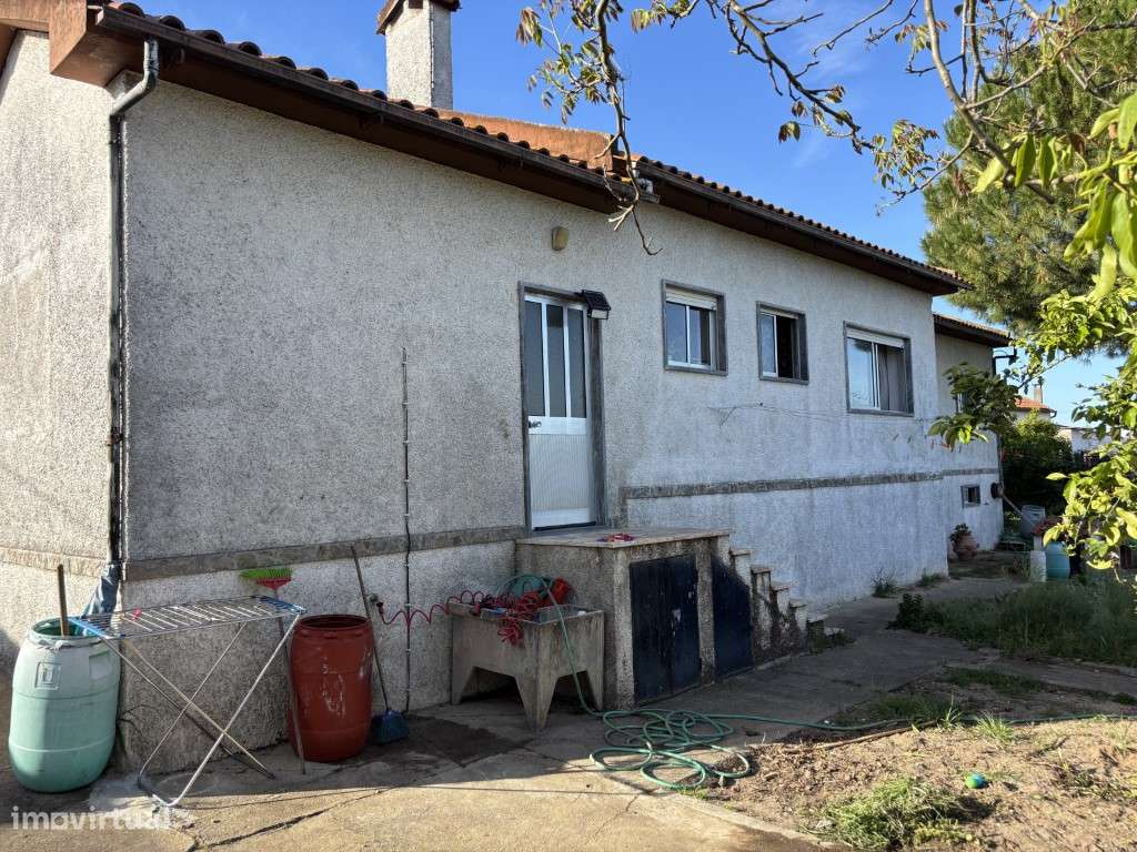 Vendese Quinta com Casa T4, Adega, Lagar e Terreno com Árvores de F...-34