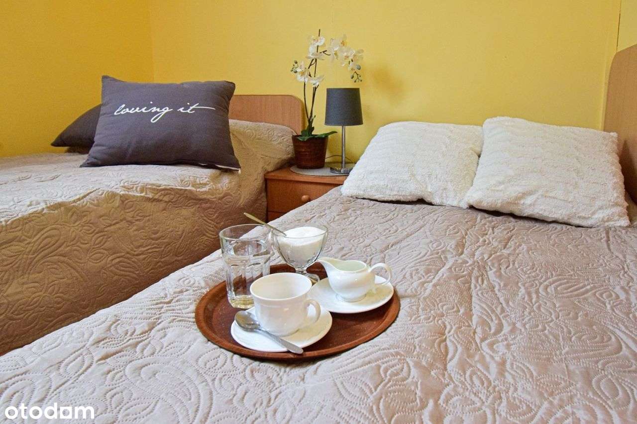 Lokal użytkowy, 2 500 m², Brodnica-8