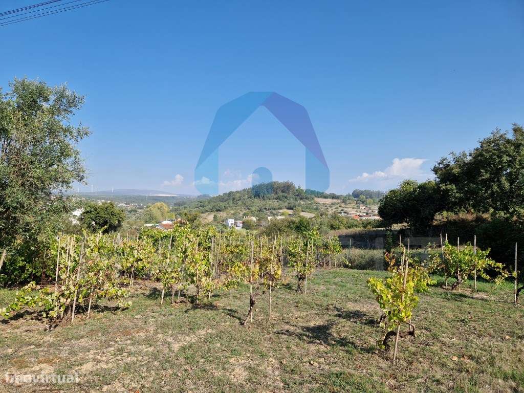 Terreno com Viabilidade de Construção - Pombal-9