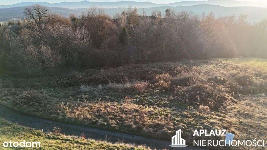 Działka budowlana 1506 m2 Siedlęcin koło Jeleniej - Pełny obrazek: 5/8