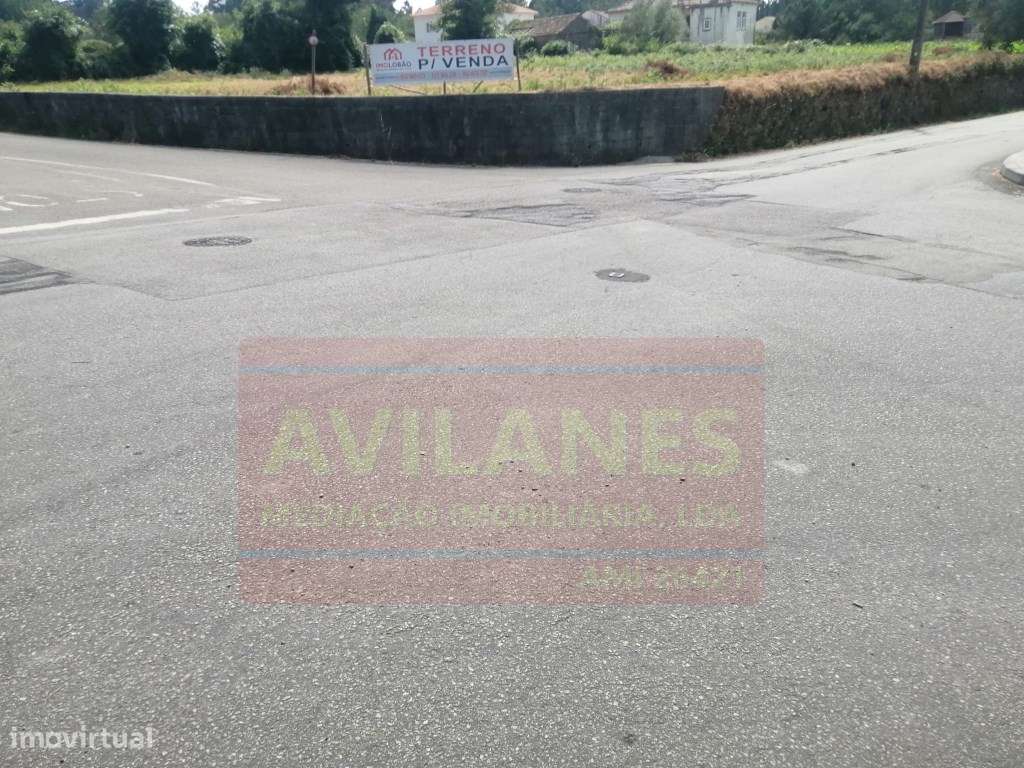 TERR. GAVETO - GUISANDE - Grande imagem: 4/4