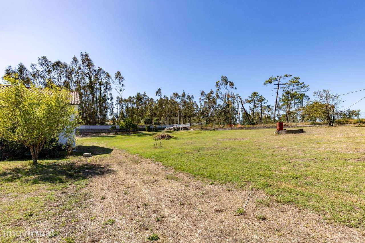Casa T3 com Vista Panorâmica em Pombal, Leiria-38