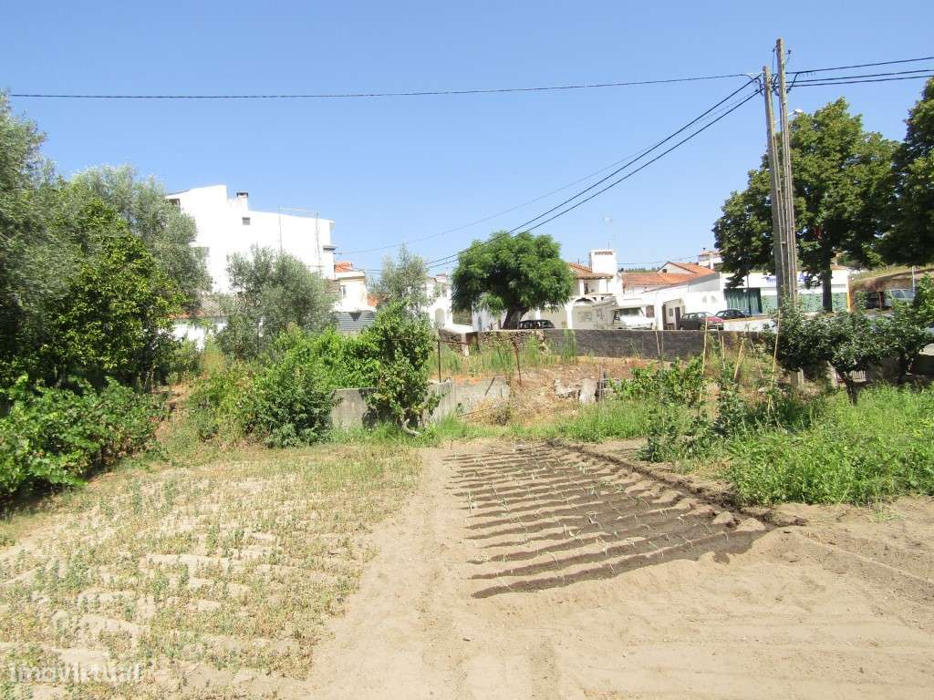 Lote da Tapada, Sardoal-8